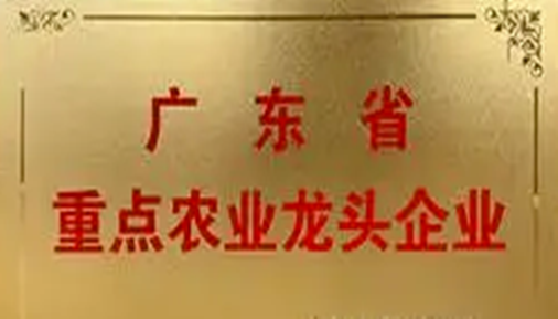 鄉(xiāng)村振興再添力量！66家佛山企業(yè)獲評(píng)省重點(diǎn)農(nóng)業(yè)龍頭企業(yè)