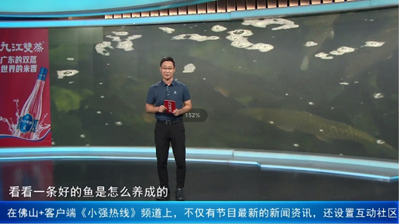《小強熱線》探訪順德生生農(nóng)業(yè)集團，揭秘一條好的魚是怎么養(yǎng)成的