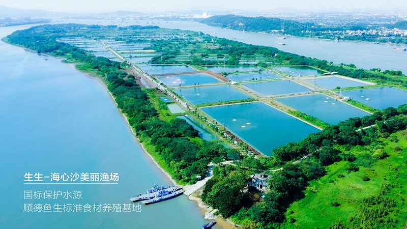 喜訊！生生獲評(píng)“國家級(jí)水產(chǎn)健康養(yǎng)殖和生態(tài)養(yǎng)殖示范區(qū)”