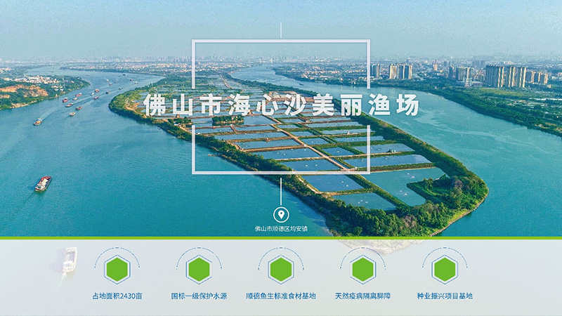 行情低迷，草魚越養(yǎng)越?jīng)]信心？他們竟然養(yǎng)出可以生吃的淡水魚，讓其身價(jià)倍增