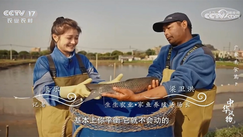 生生農(nóng)業(yè)集團(tuán)又雙叒亮相央視！CCTV-17《中華風(fēng)物》介紹生生草魚(yú)