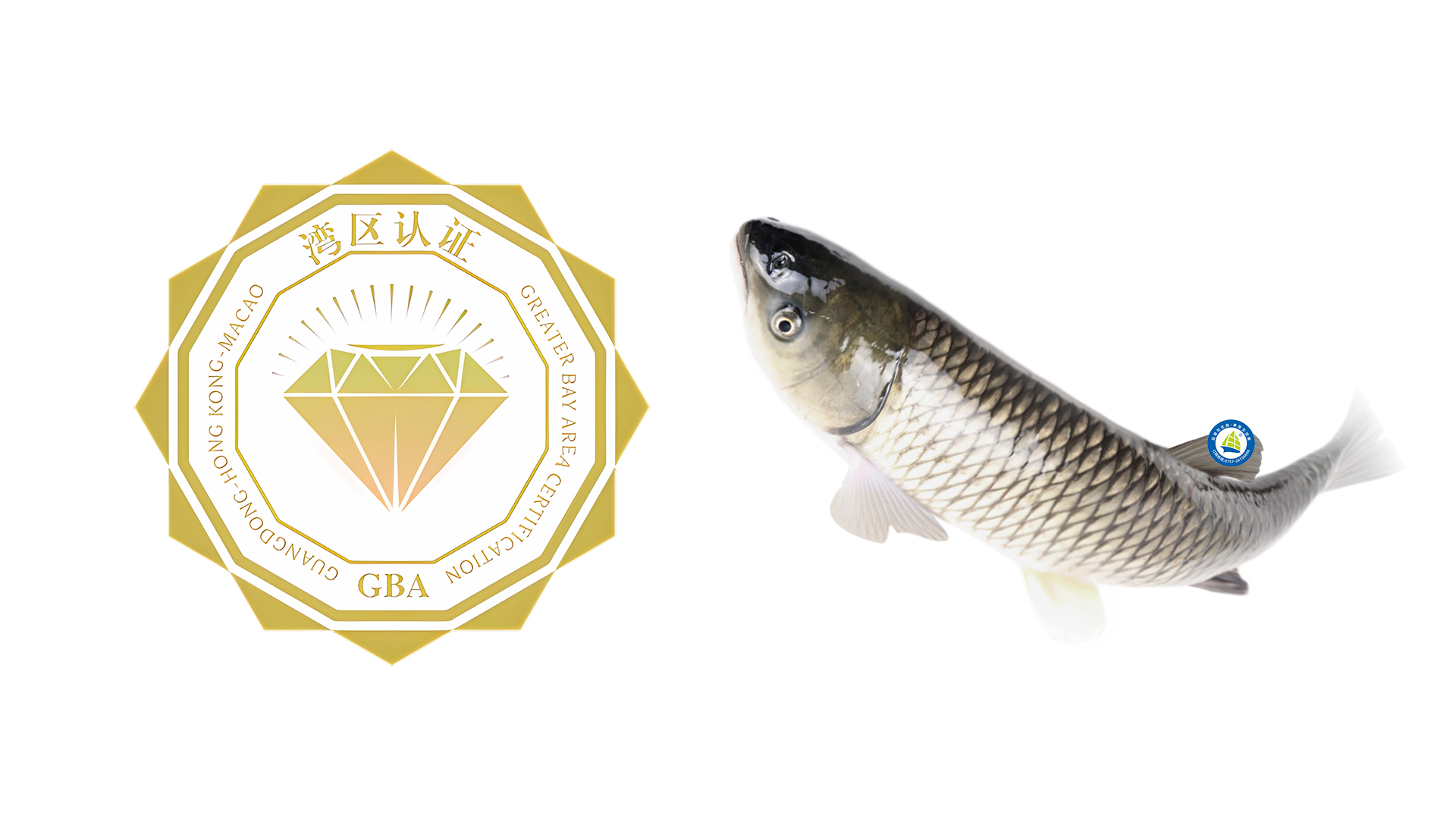 喜獲“灣區(qū)認(rèn)證”——生生珍品鯇獲高品質(zhì)認(rèn)可，可便捷通行大灣區(qū)